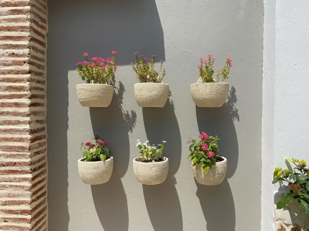 Casa Bixa Hotel Boutique - Mayores De 12 Anos - (Adults Only) Санта-Фе-де-Антьокия Экстерьер фото