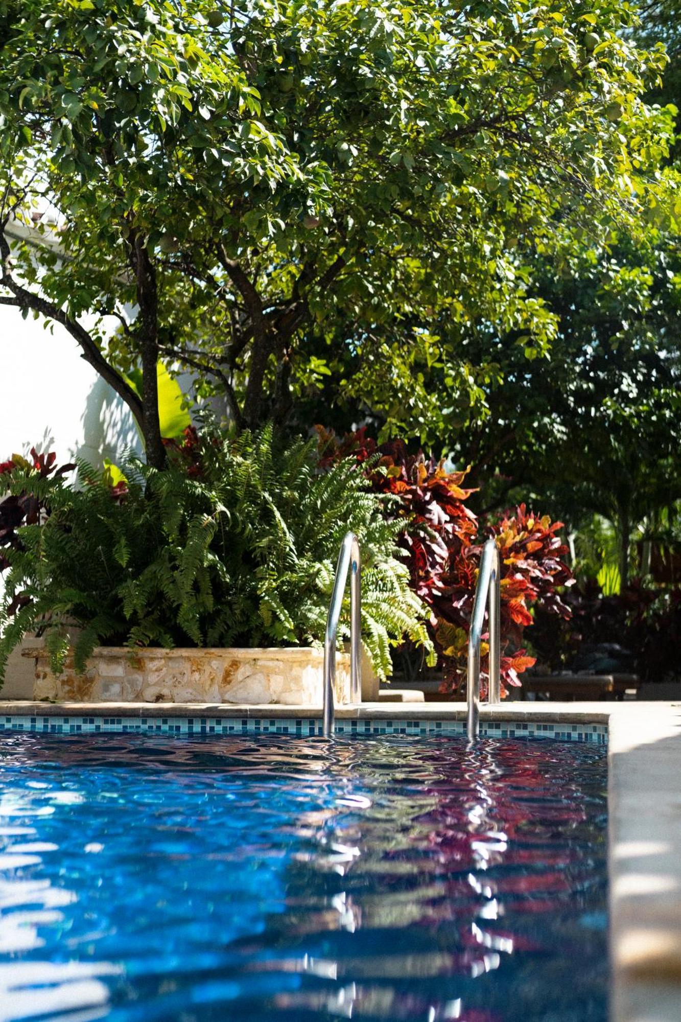 Casa Bixa Hotel Boutique - Mayores De 12 Anos - (Adults Only) Санта-Фе-де-Антьокия Экстерьер фото